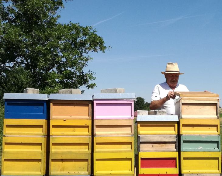 Imkerei Richard Wolf - Bienenkästen